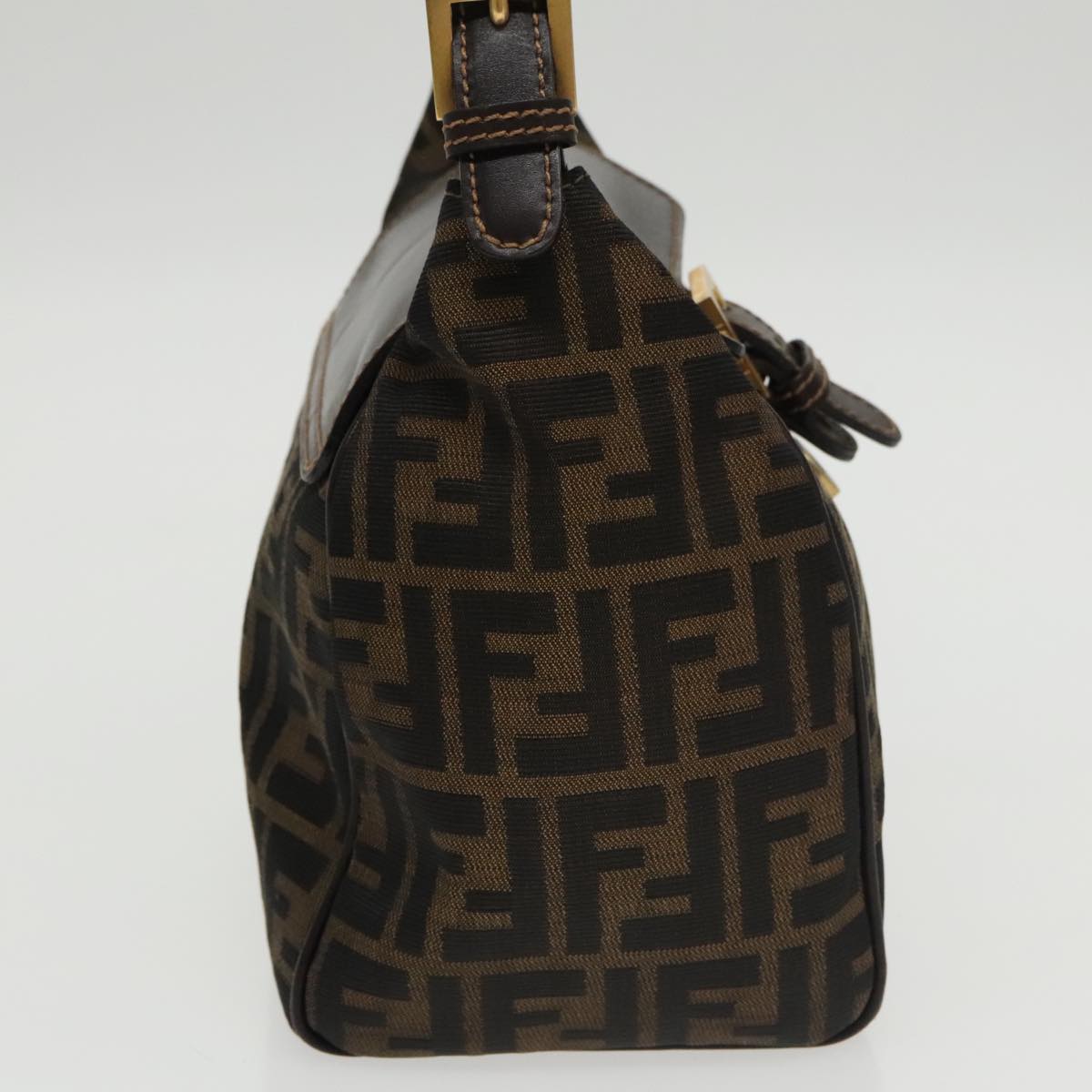 Fendi Brown Canvas Handbag ()