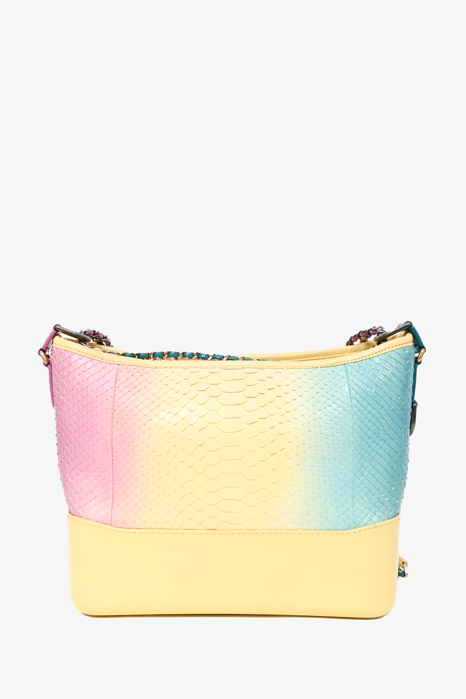 Chanel™ Cruise 2019 Multicolour Rainbow Python Medium Gabrielle Bag