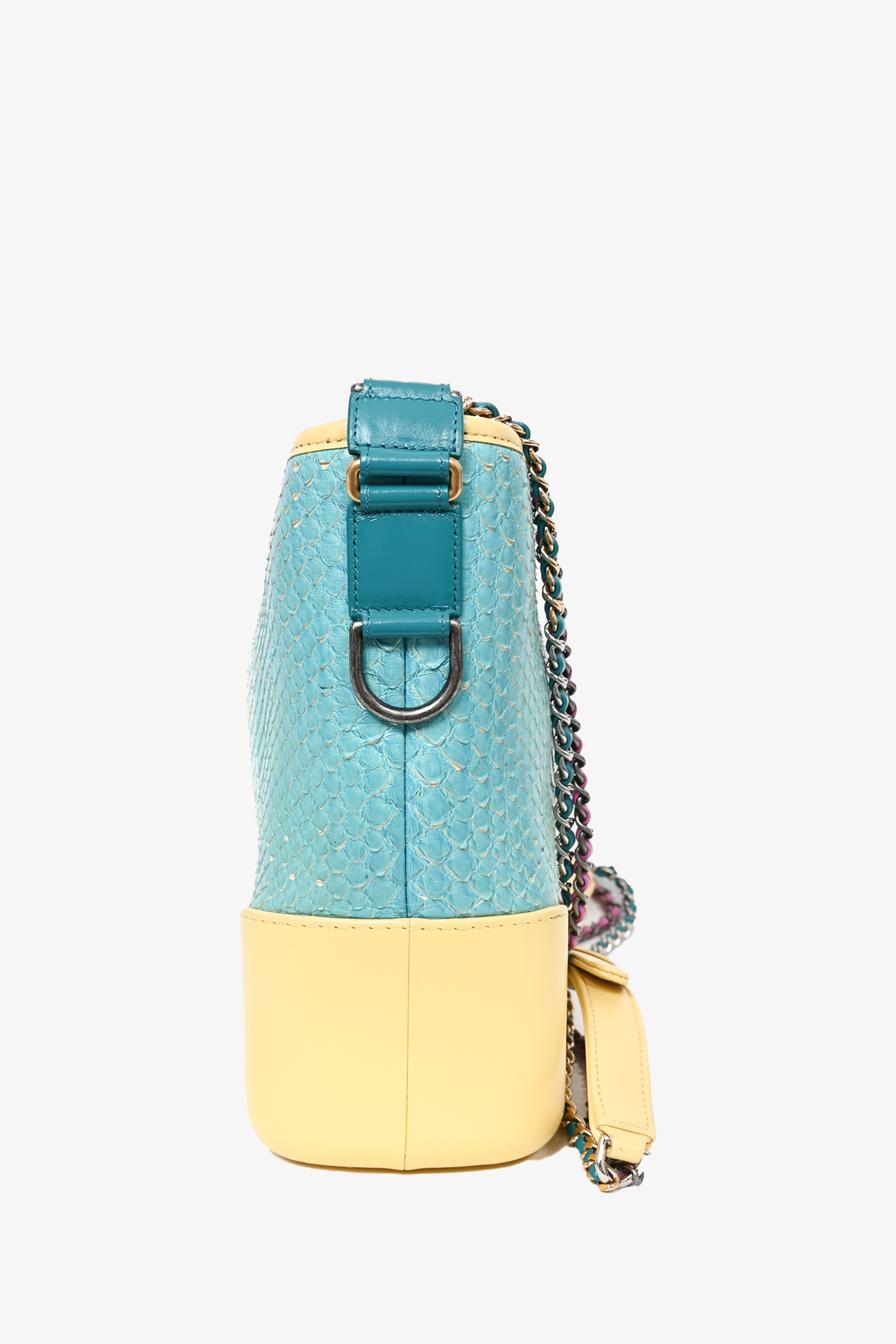 Chanel™ Cruise 2019 Multicolour Rainbow Python Medium Gabrielle Bag
