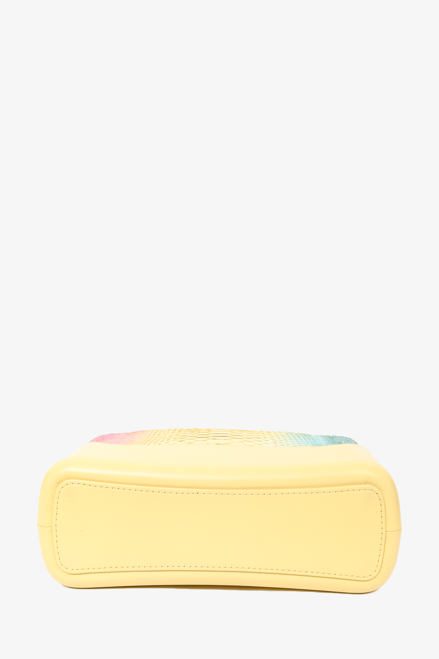 Chanel™ Cruise 2019 Multicolour Rainbow Python Medium Gabrielle Bag