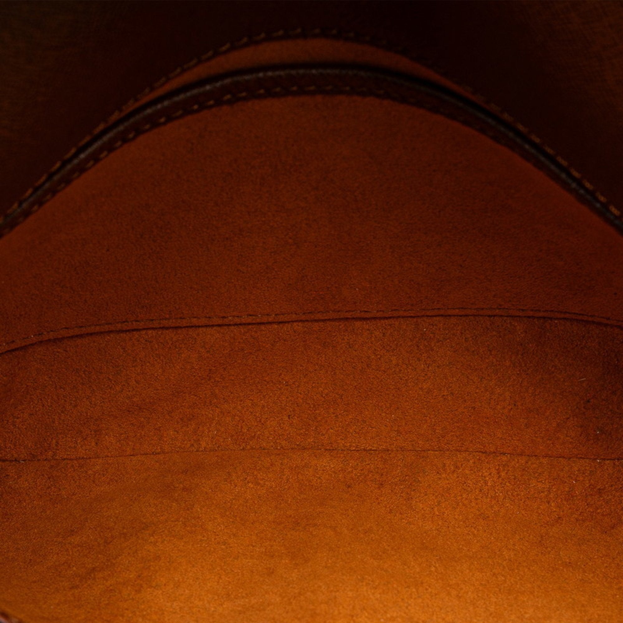 Louis Vuitton Musette Tango Canvas Shoulder Bag ()